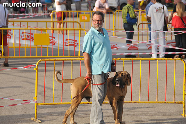Concurso canino Fiestas de Santiago 2009 - 88